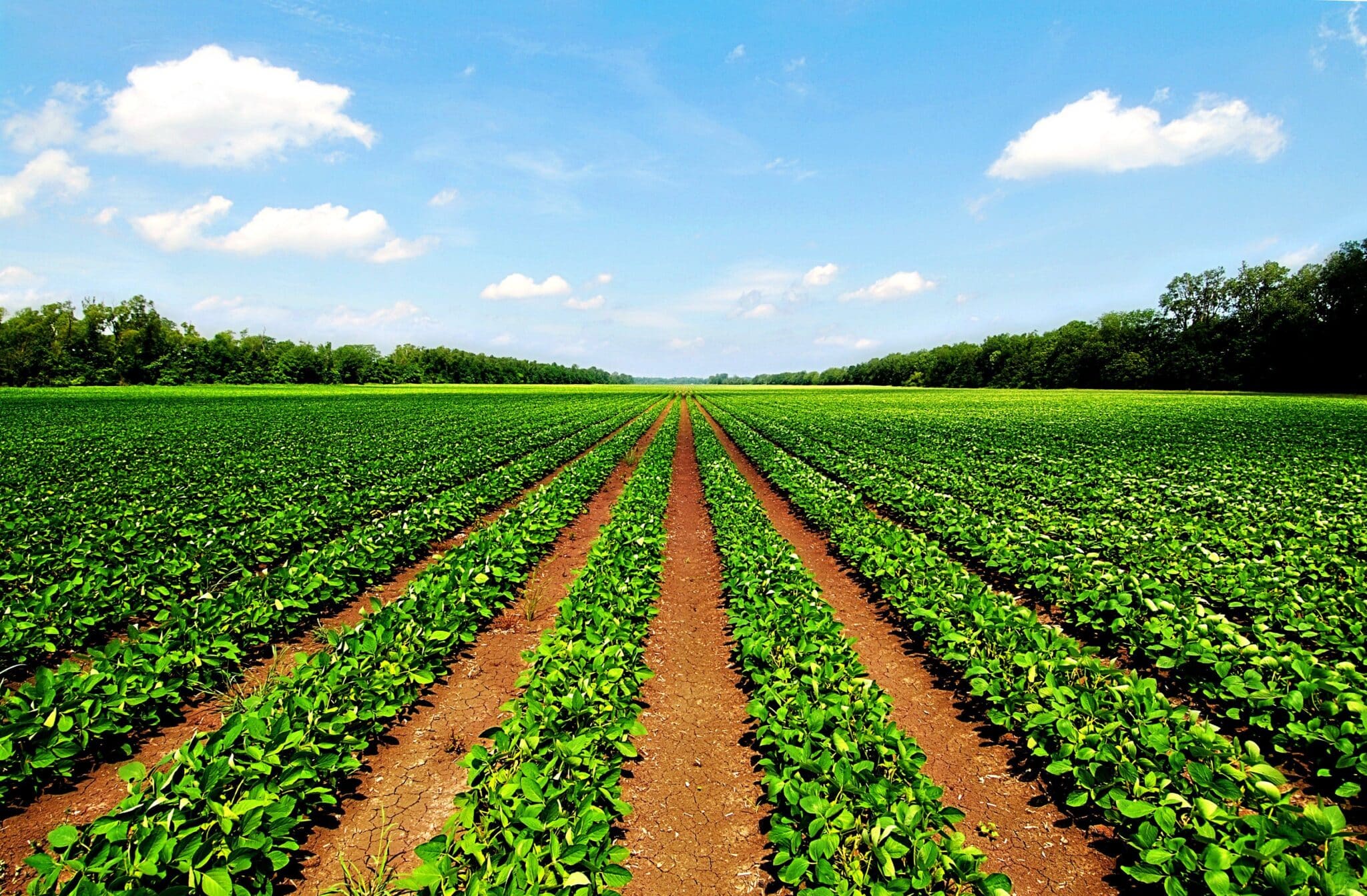 Agriculture Machinery Equipment Technology In India Shop It Agriculture Machinery Equipment Technology In India Shop It