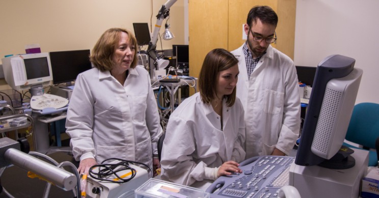 Best Biomedical Engineering Schools In The U S 2023 Best Biomedical Engineering Schools In The U S 2023