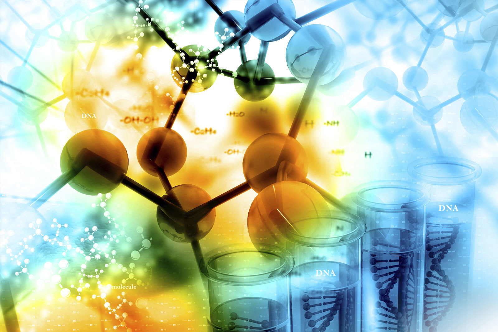 Biochemistry Structural Biology Biochemistry Structural Biology