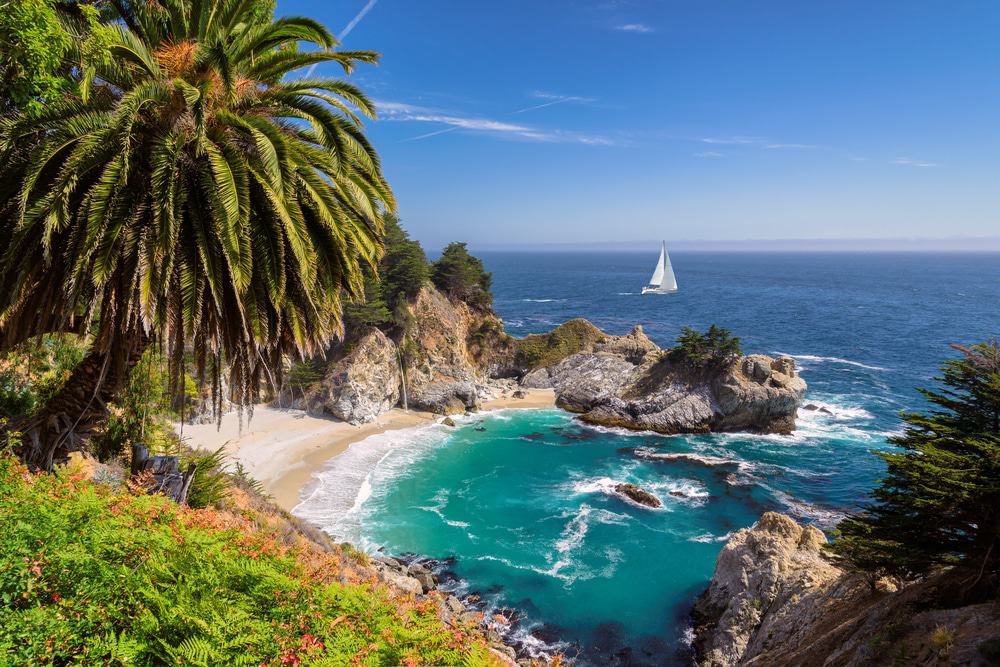 California State University Csu Chico American California State University Csu Chico American