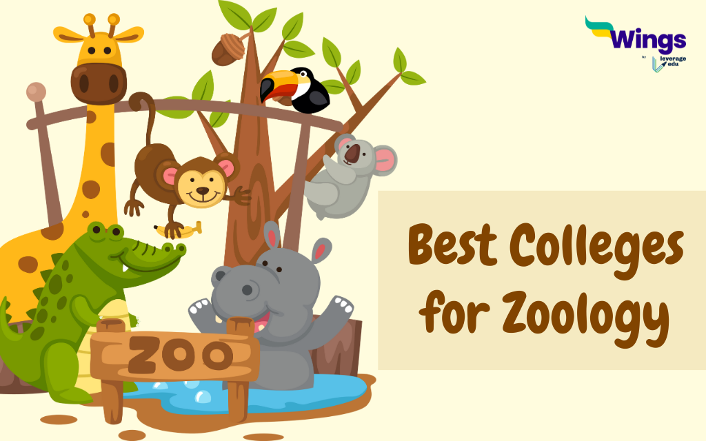 Colleges That Offer Zoology Degrees