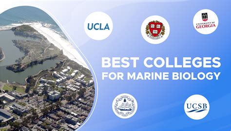 Colleges With Good Marine Biology Programs
