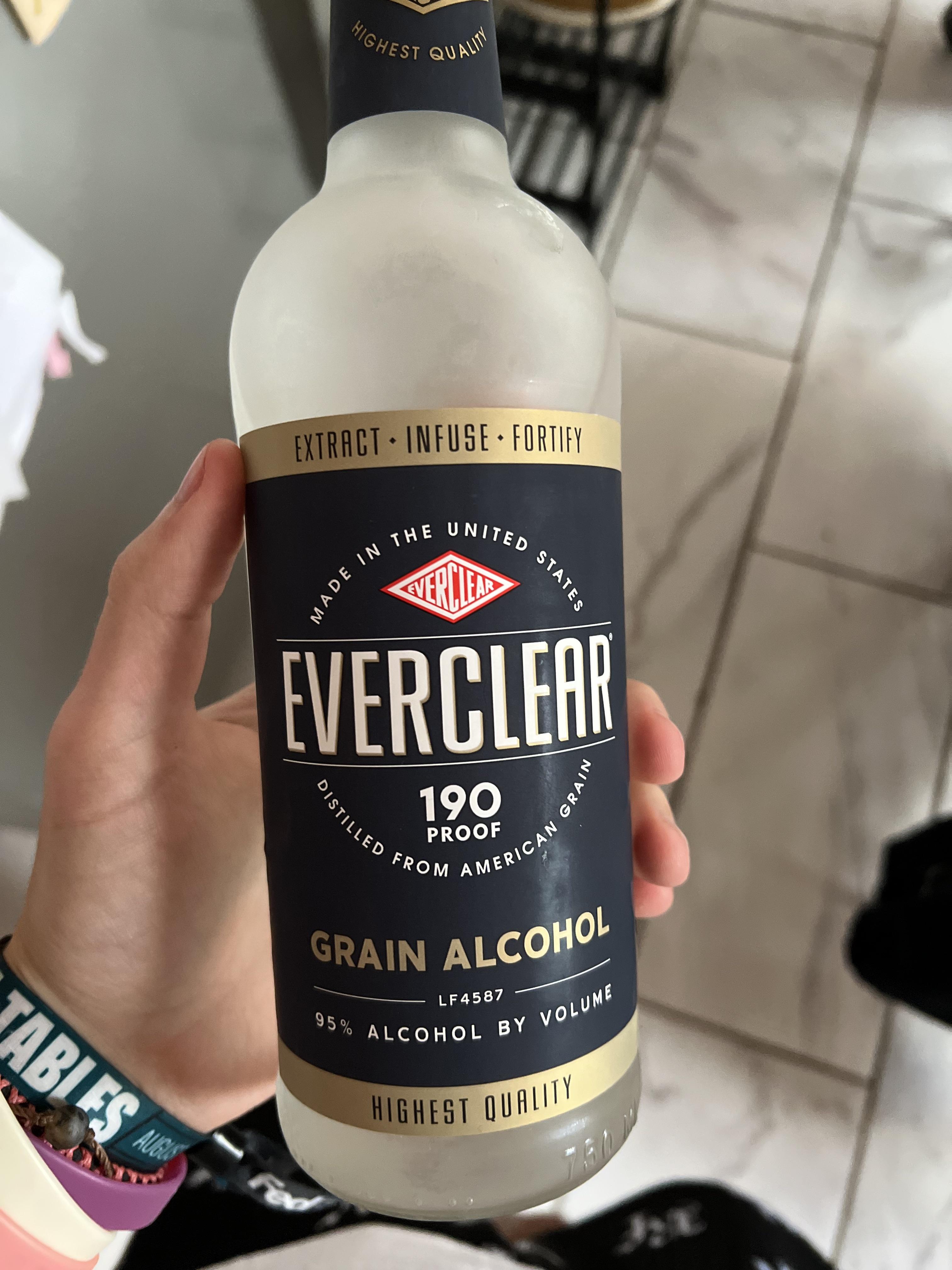 Everclear El Distorto De Melodica Live The Silver Dollar Fair 5 23 Everclear El Distorto De Melodica Live The Silver Dollar Fair 5 23