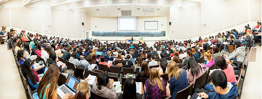 How Many Colleges At Ucsd What S The Difference Between And How Many Colleges At Ucsd What S The Difference Between And