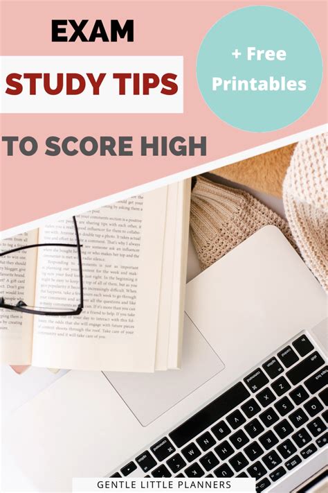 How To Study Effectively In University College To Boost Your Grades How To Study Effectively In University College To Boost Your Grades