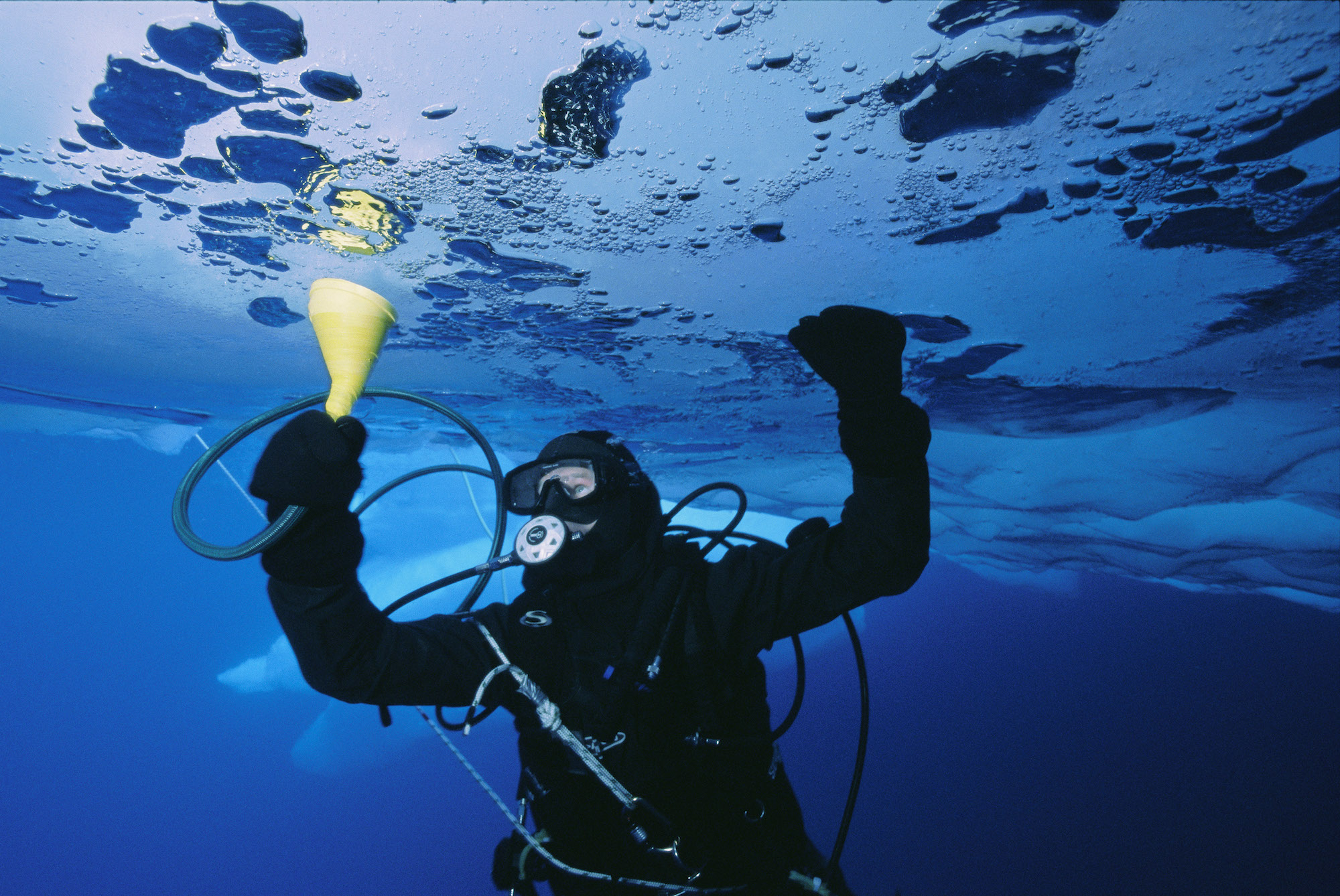 Oceanography Schools