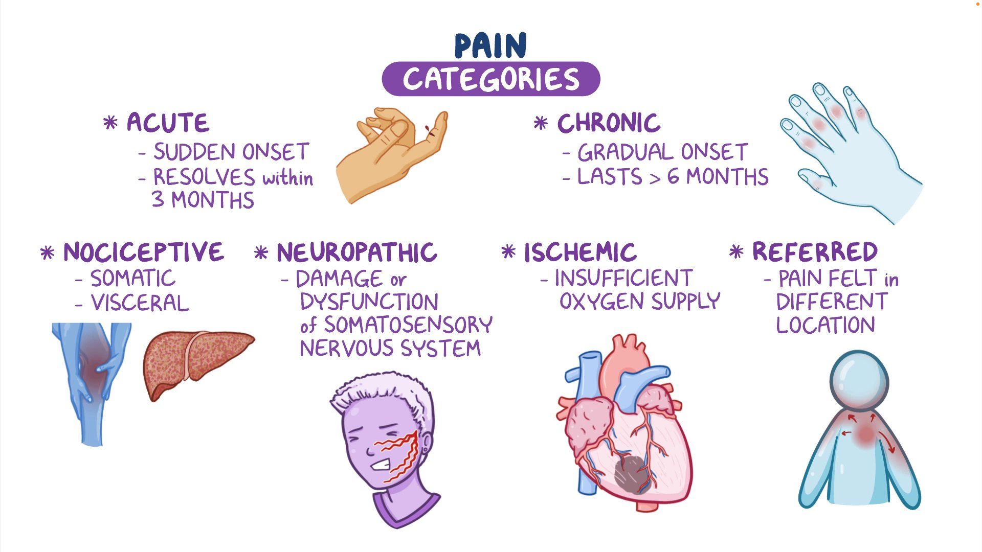 Pain But Fr Thanks For Answering My Questions And Being Very Helpful Pain But Fr Thanks For Answering My Questions And Being Very Helpful