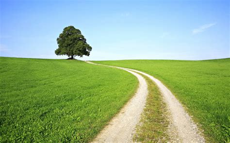 Path Path