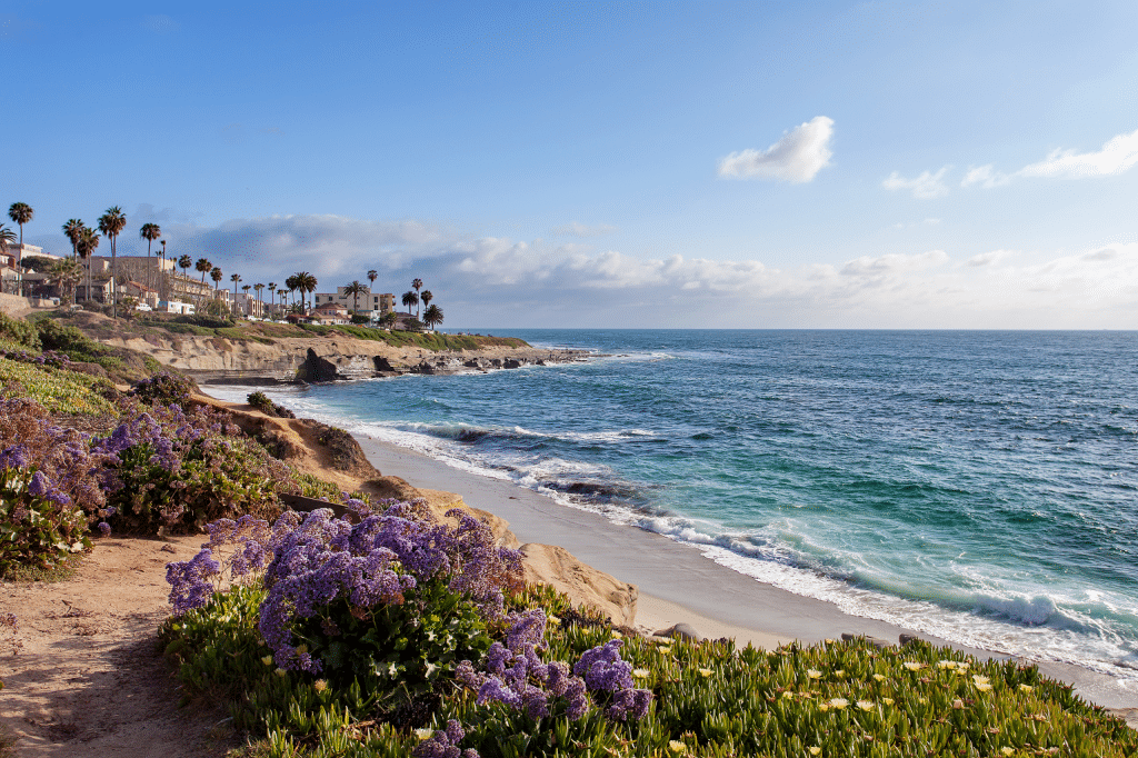 San Diego Free Photos: Top Spots Revealed