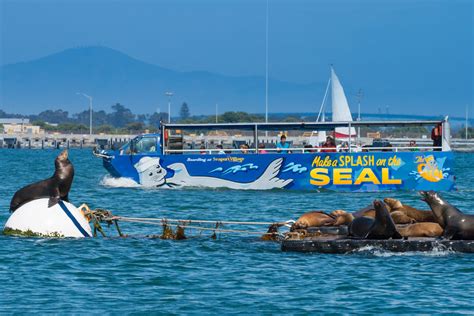 San Diego Seal Tours San Diego Duck Tours San Diego Seal Tours San Diego Duck Tours