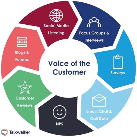 The Voice Of Customers