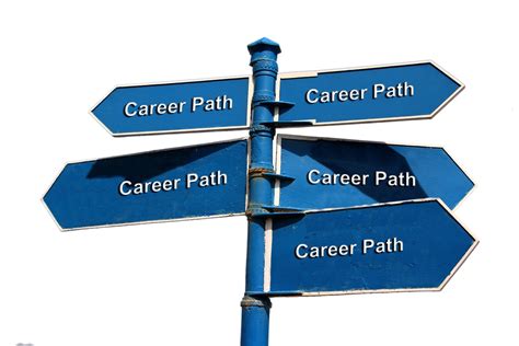 Ucsd Niche: Discover Your Dream Career Path