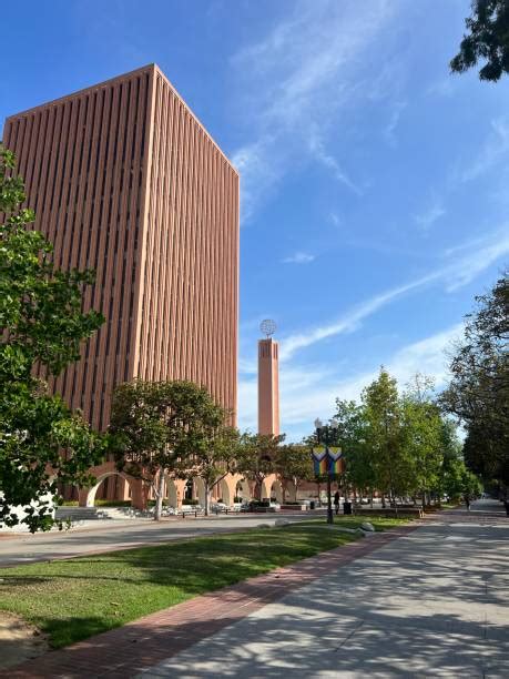 Universit De Californie Du Sud University Of Southern California Universit De Californie Du Sud University Of Southern California