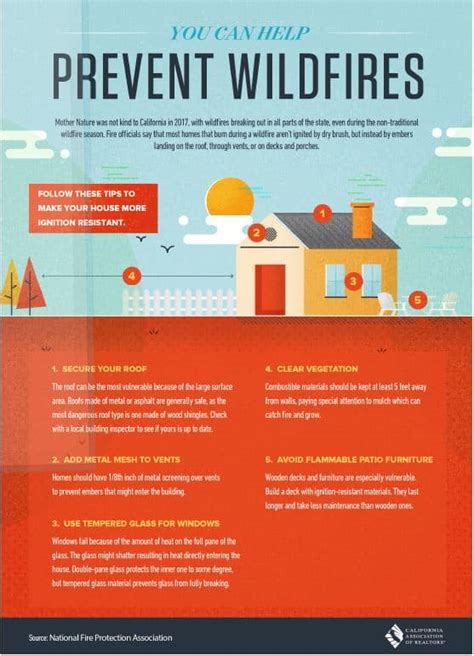What Causes California San Diego Fires? Prevention Tips