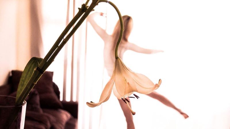 What Inspires Arts? Find Your Creative Spark