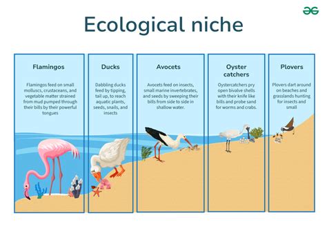 What Is Niche Ucsd? Find Your Community